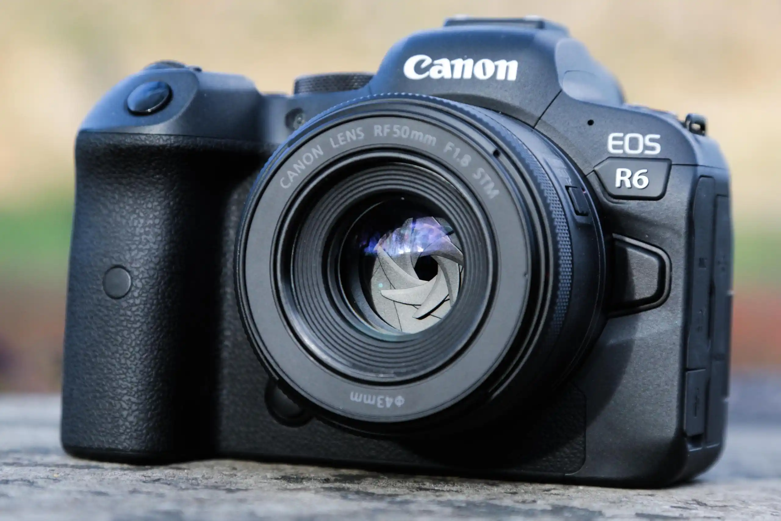 Canon RF 50mm f/1.8 STM